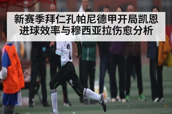 新赛季拜仁孔帕尼德甲开局凯恩进球效率与穆西亚拉伤愈分析